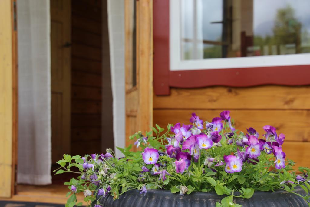 Lepametsa Holiday Houses Насва Номер фото